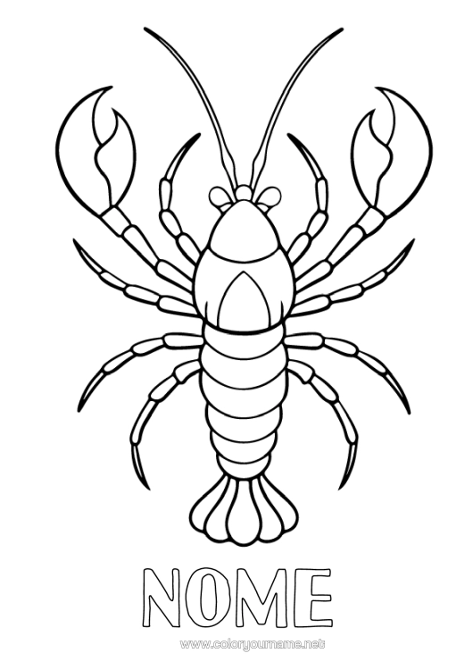 Página de desenho para imprimir Animal Animais Marinhos Ou Aquáticos Lagosta Realista