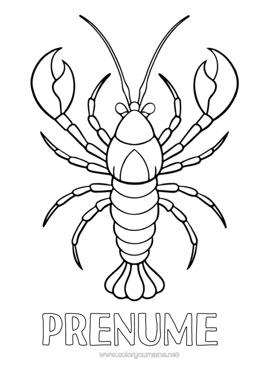 Pagină de colorat de imprimat Animal Animale Marine Sau Acvatice Homar Realist