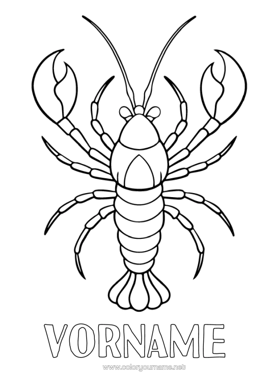 Malvorlage zum Ausdrucken Tier Meeres- Oder Wasserlebewesen Hummer Realistisch