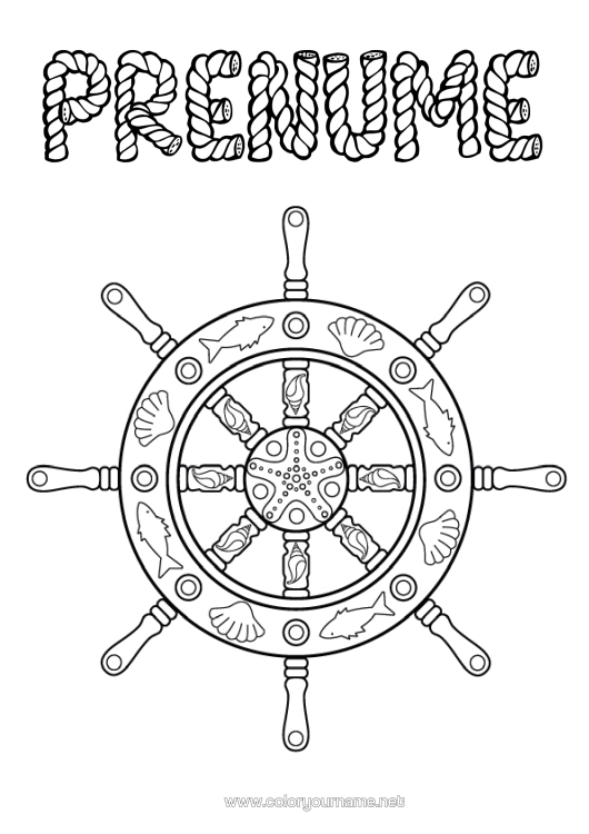 Pagină de colorat de imprimat Scoici Zentangle Animale Marine Sau Acvatice Bară De Bărcărie