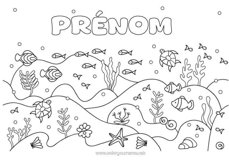 Coloriage à imprimer Mer Animal Poisson Étoile De Mer Animaux Marins Ou Aquatique Tortue Marine Fonds Marins