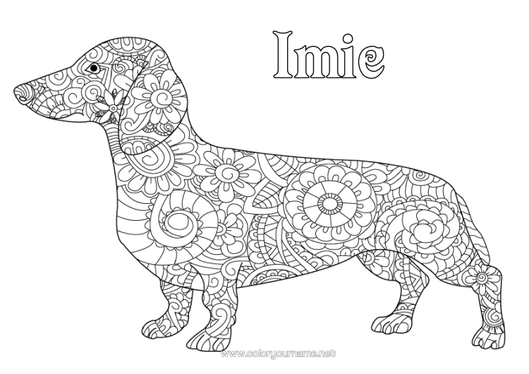 Kolorowanka do wydruku Pies Złożone Kolorowanki Zentangle Psy I Koty Jamnik