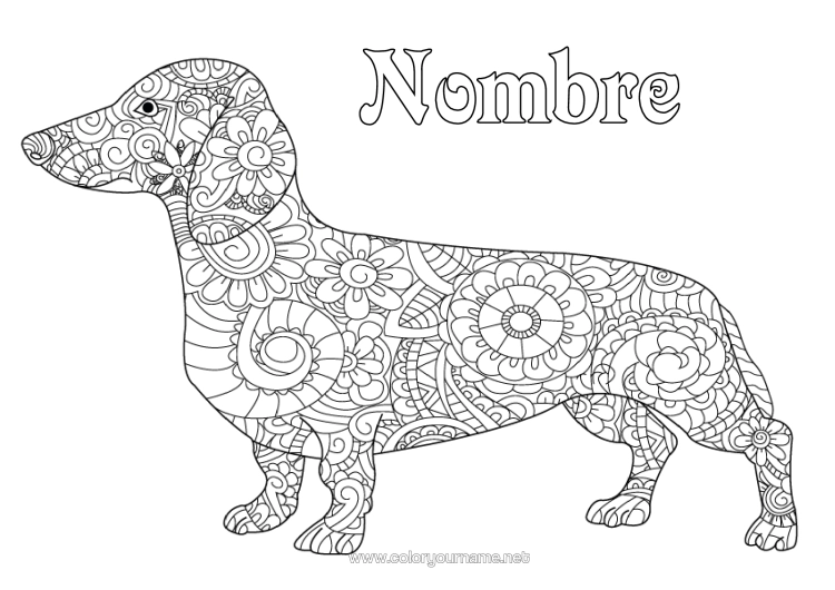 Dibujo para colorear para imprimir Perro Dibujos Complejos Para Colorear Zentangle Perros Y Gatos Dachshund.