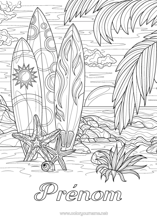 Coloriage à imprimer Sport Palmier Coloriages Complexes Étoile De Mer Surf Animaux Marins Ou Aquatique Sports Nautiques