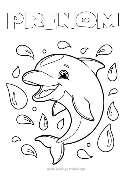 Coloriage à imprimer Animal Dauphin Animaux Marins Ou Aquatique