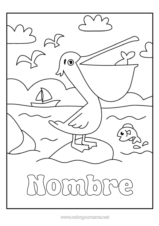 Dibujo para colorear para imprimir Mar Animales Aves Y Mamíferos Voladores Pelícano
