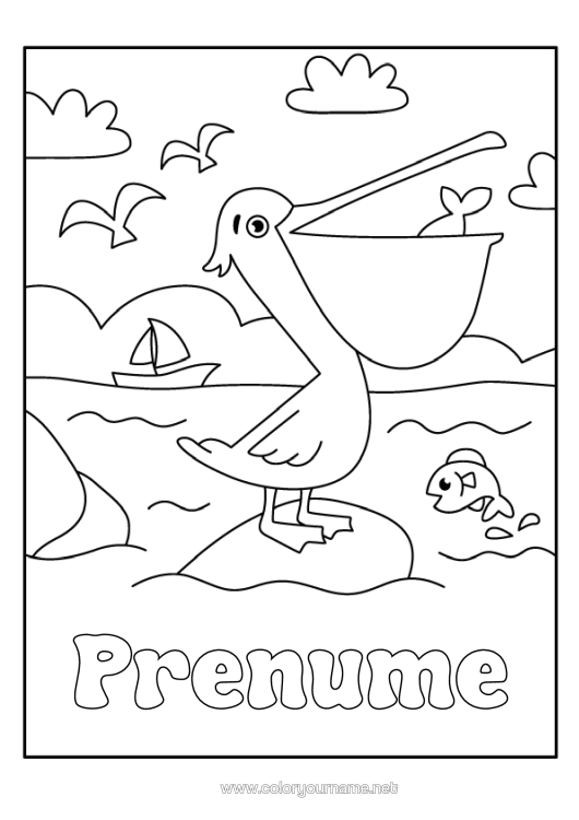 Pagină de colorat de imprimat Mare Animal Păsări Și Mamifere Zburătoare Pelican