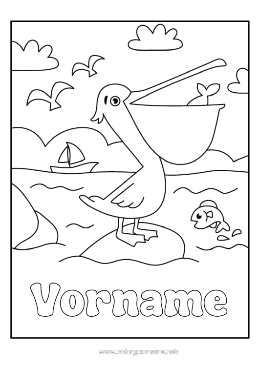 Malvorlage zum Ausdrucken Meer Tier Vögel Und Fliegende Säugetiere Pelikan