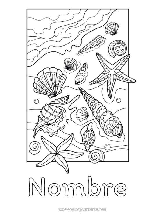 Dibujo para colorear para imprimir Playa Conchas Marinas Estrella De Mar Animales Marinos O Acuáticos