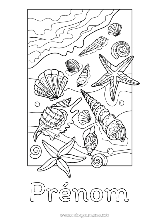 Coloriage à imprimer Plage Coquillages Étoile De Mer Animaux Marins Ou Aquatique