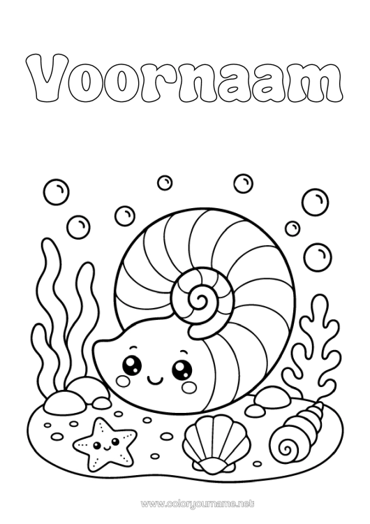Kleurplaat om af te drukken Kawaii Dier Schelpen Zeester Zeedieren