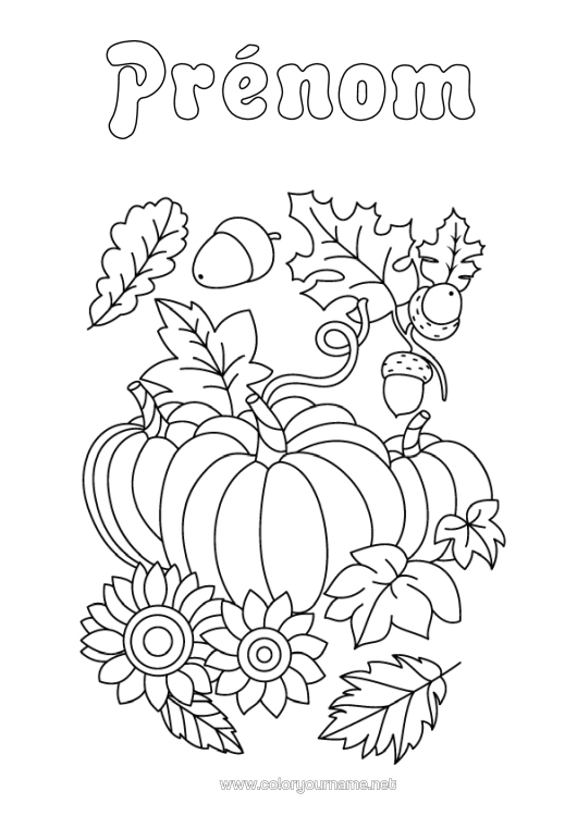 Coloriage à imprimer Citrouille Automne Tournesol Gland Feuilles Mortes