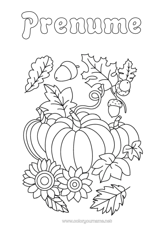 Pagină de colorat de imprimat Dovleac Toamnă Floarea-Soarelui Gland Frunze Moarte