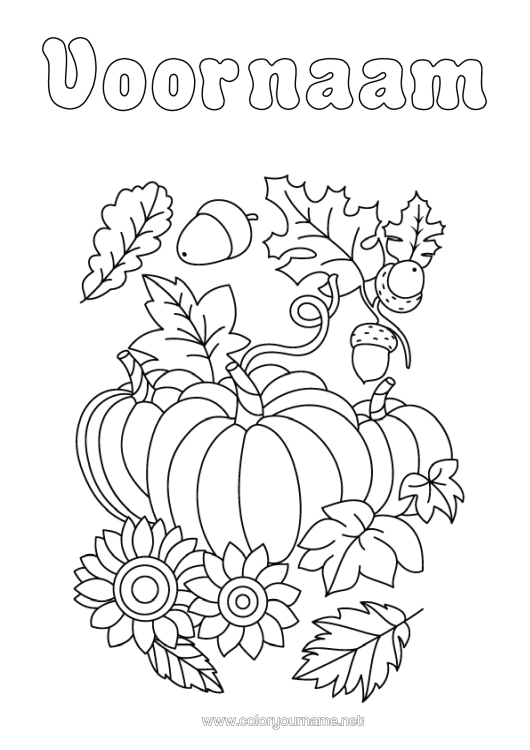 Kleurplaat om af te drukken Pompoen Herfst Zonnebloem Eikel Dode Bladeren