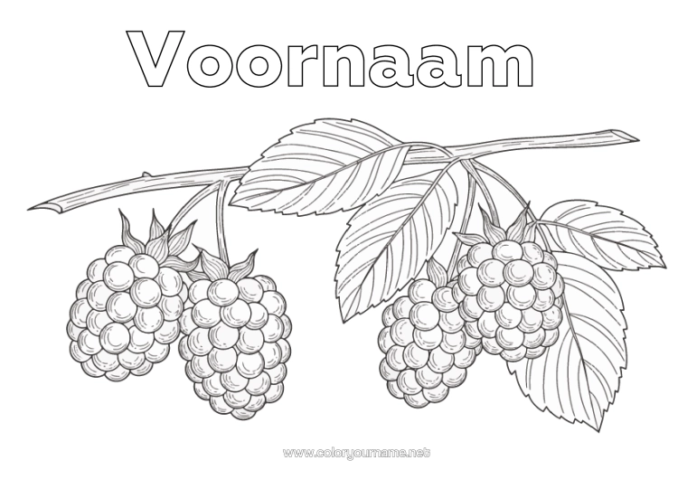 Kleurplaat om af te drukken Fruit Realistisch Framboos