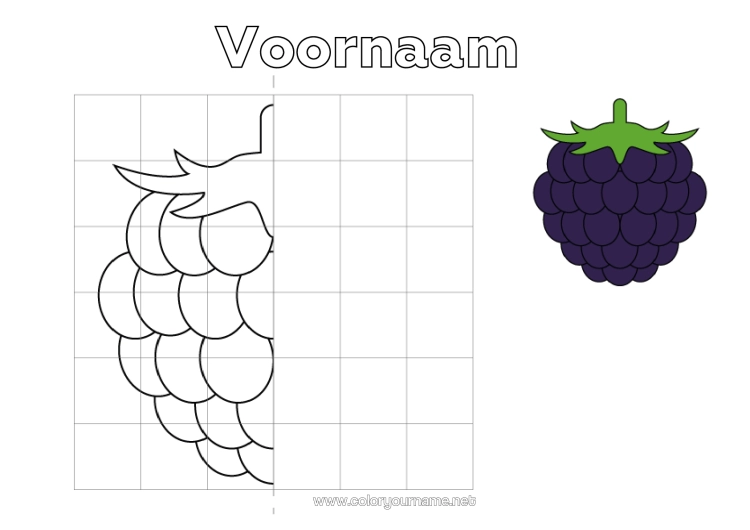 Kleurplaat om af te drukken Activiteiten Voor Kinderen Fruit Symmetrie Bramen