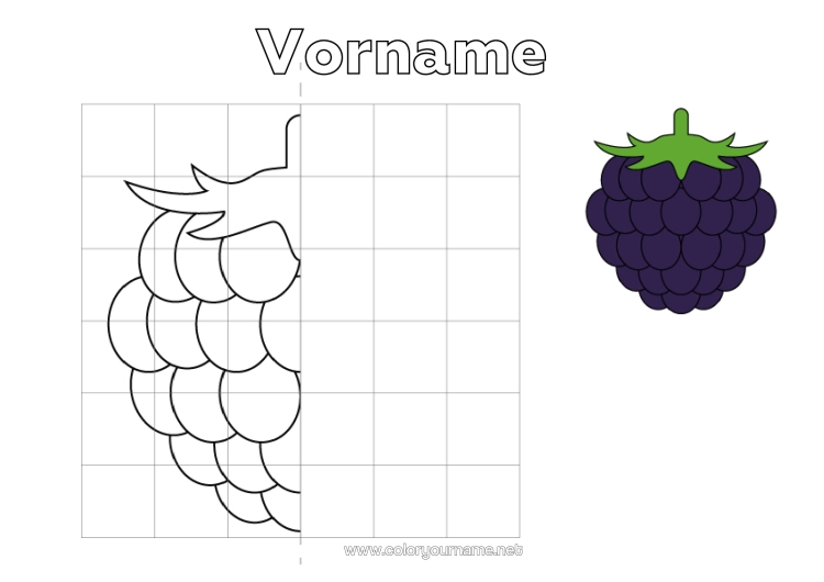 Malvorlage zum Ausdrucken Kinderaktivitäten Früchte Symmetrie Brombeere