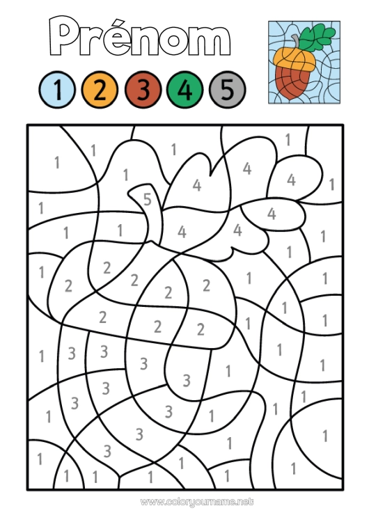 Coloriage à imprimer Coloriages Magiques Activités Enfants Gland