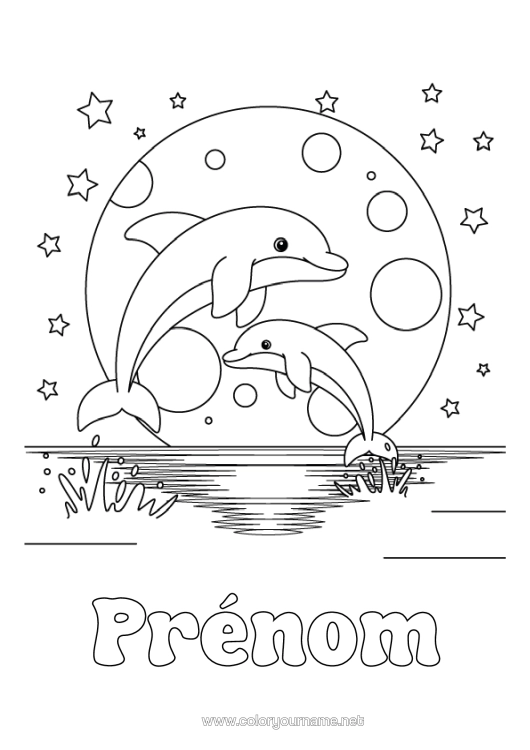 Coloriage à imprimer Mer Dauphin Étoiles Animaux Marins Ou Aquatique Coucher De Soleil