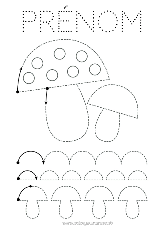 Coloriage à imprimer Champignon Coloriages Faciles Trace Et Colorie Fiche De Graphisme Maternelle Graphisme En Pointillés