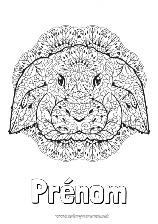 Coloriage à imprimer Mandala Lapin 2023 Animal Nouvel An chinois Animaux de la forêt