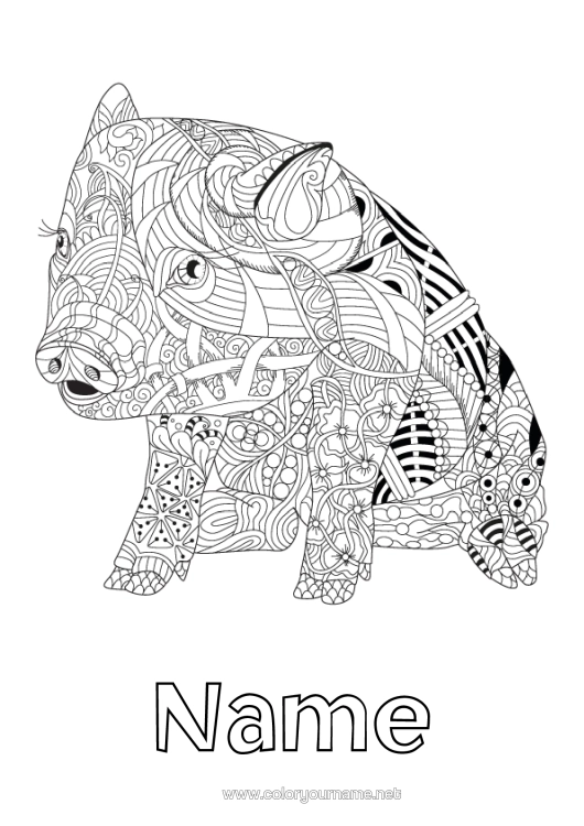 Colouring page to print Mandala Pig Animal Chinese New Year Farm Animals