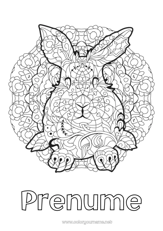 Pagină de colorat de imprimat Mandala Iepure Animal Anul Nou Chinezesc Desene de colorat complexe Animale din pădure
