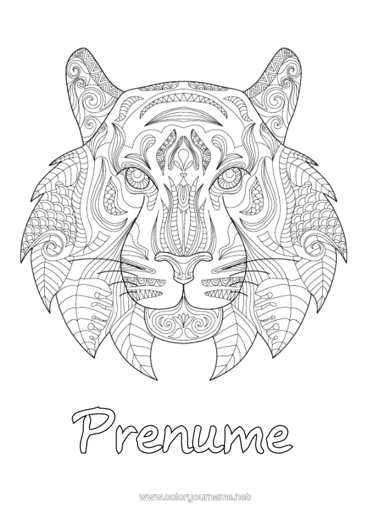 Pagină de colorat de imprimat Mandala Tigru Animal Anul Nou Chinezesc Zentangle Animale sălbatice din Africa