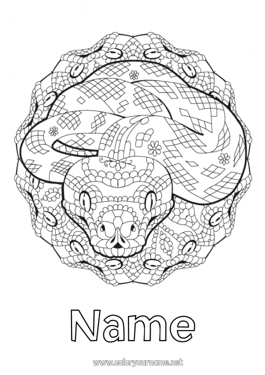 Coloring page to print Mandala Animal Chinese New Year Snake Complex coloring pages Reptiles