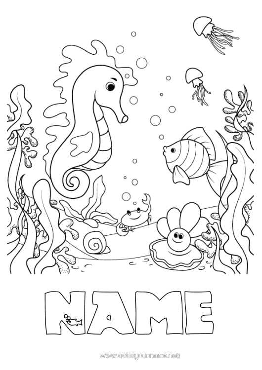 Colouring page to print Sea Animal Fish Seahorse Crab Shellfish Marine Or Aquatic Animals Seabed