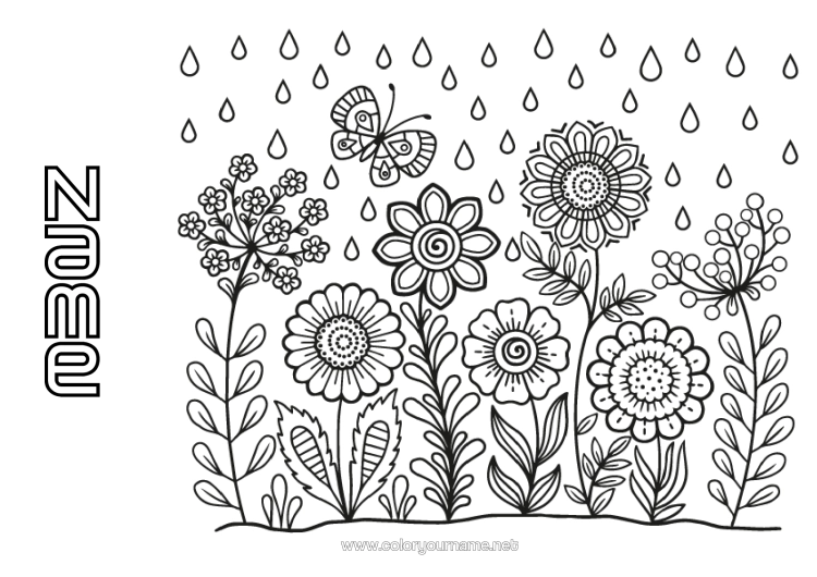 Colouring page to print Flowers Spring Butterfly Insects
