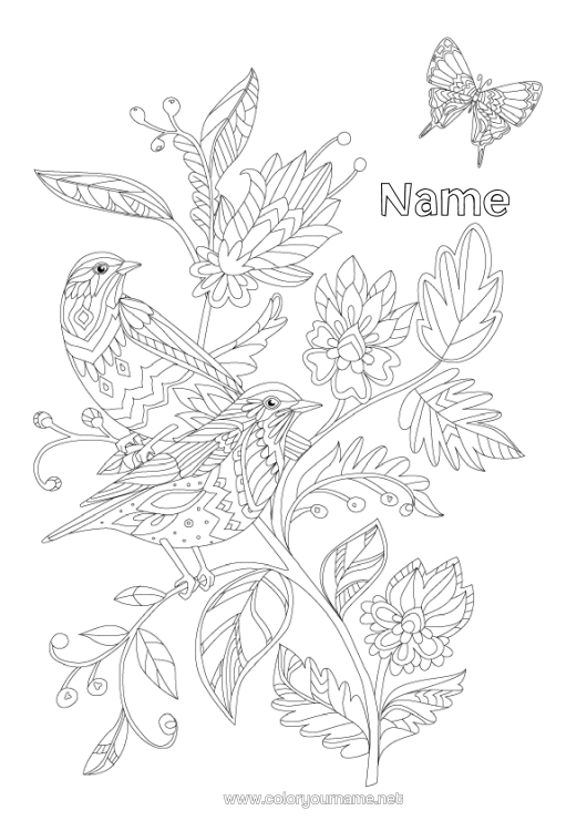 Colouring page to print Flowers Mandala Bird Butterfly Animal Insects Birds And Flying Mammals Hummingbird