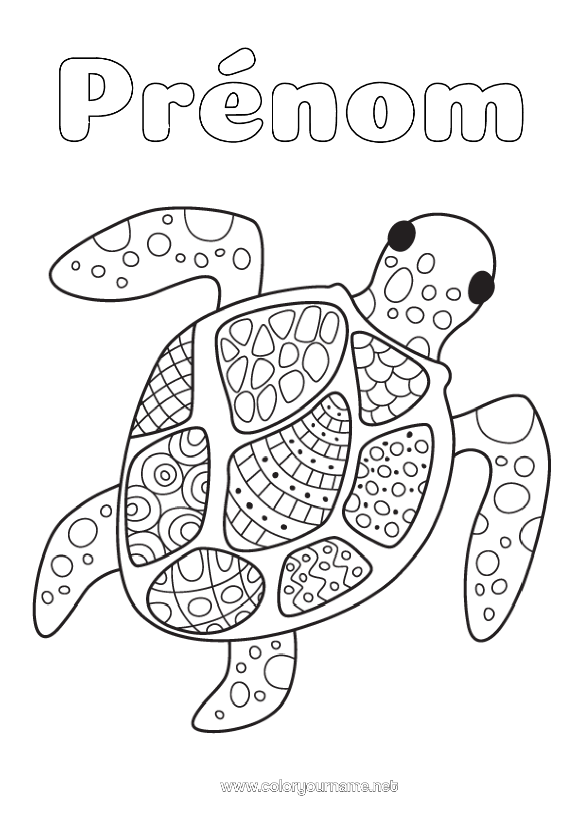 Thick To Give Permission Have Learned Dessin Tortue A Imprimer Stumble