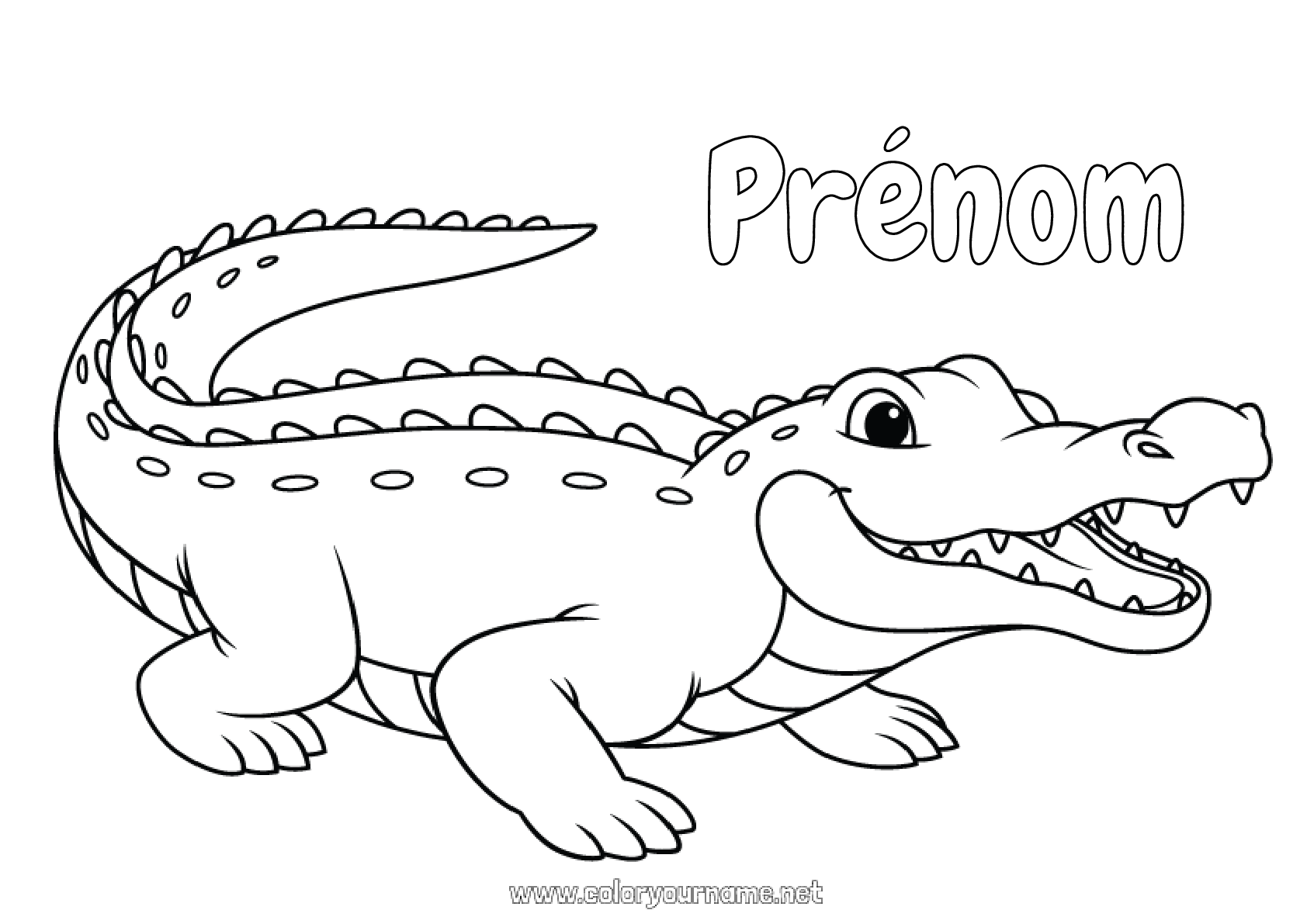 Krokodil Page De Garde Coloriage n°1751 - Crocodile Animal Coloriages faciles