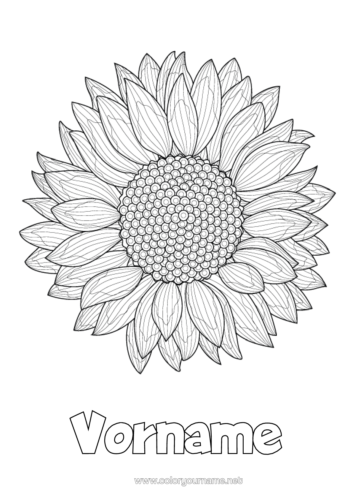 Malvorlage Nr.2102 - Blumen Sommer Sonnenblume