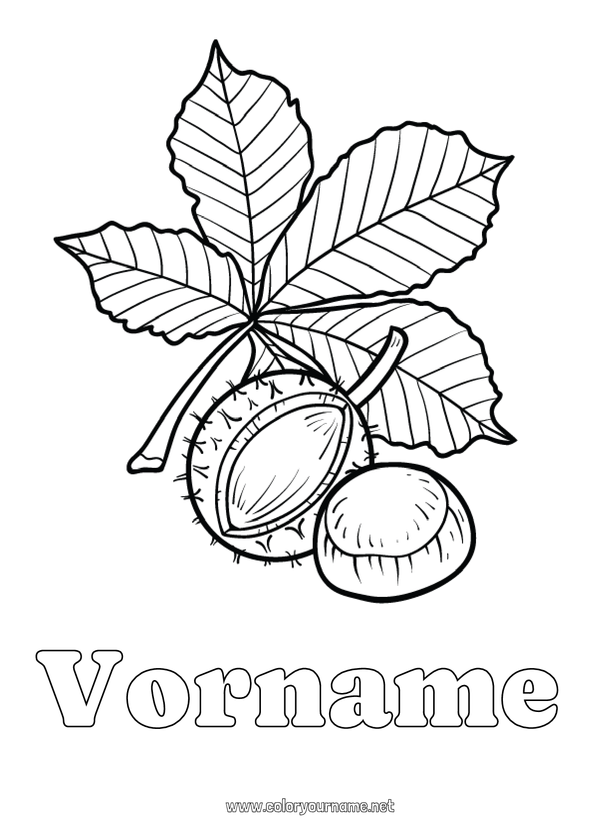 Malvorlage Nr.2873 - Blätter Kastanie