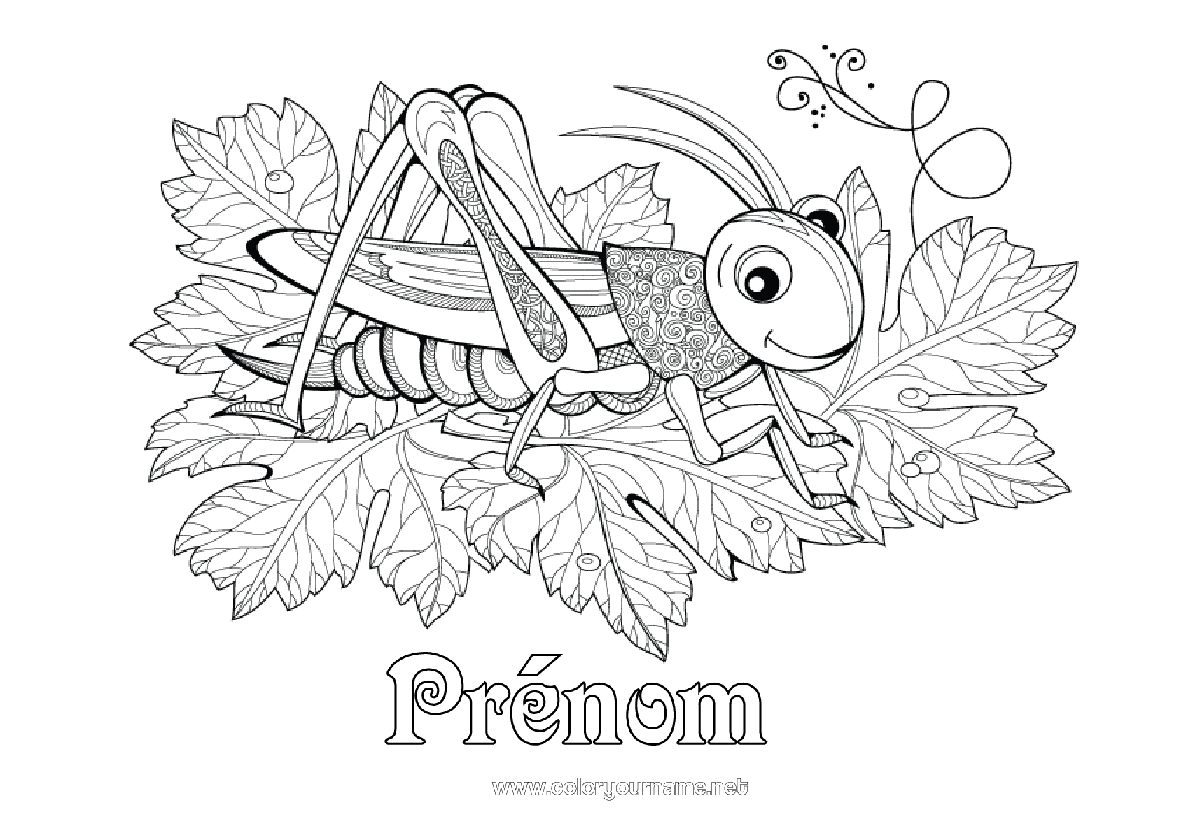 Coloriage La Cigale Et La Fourmi Dessin Coloriage n°2987 - Coloriages complexes Zentangle Insectes