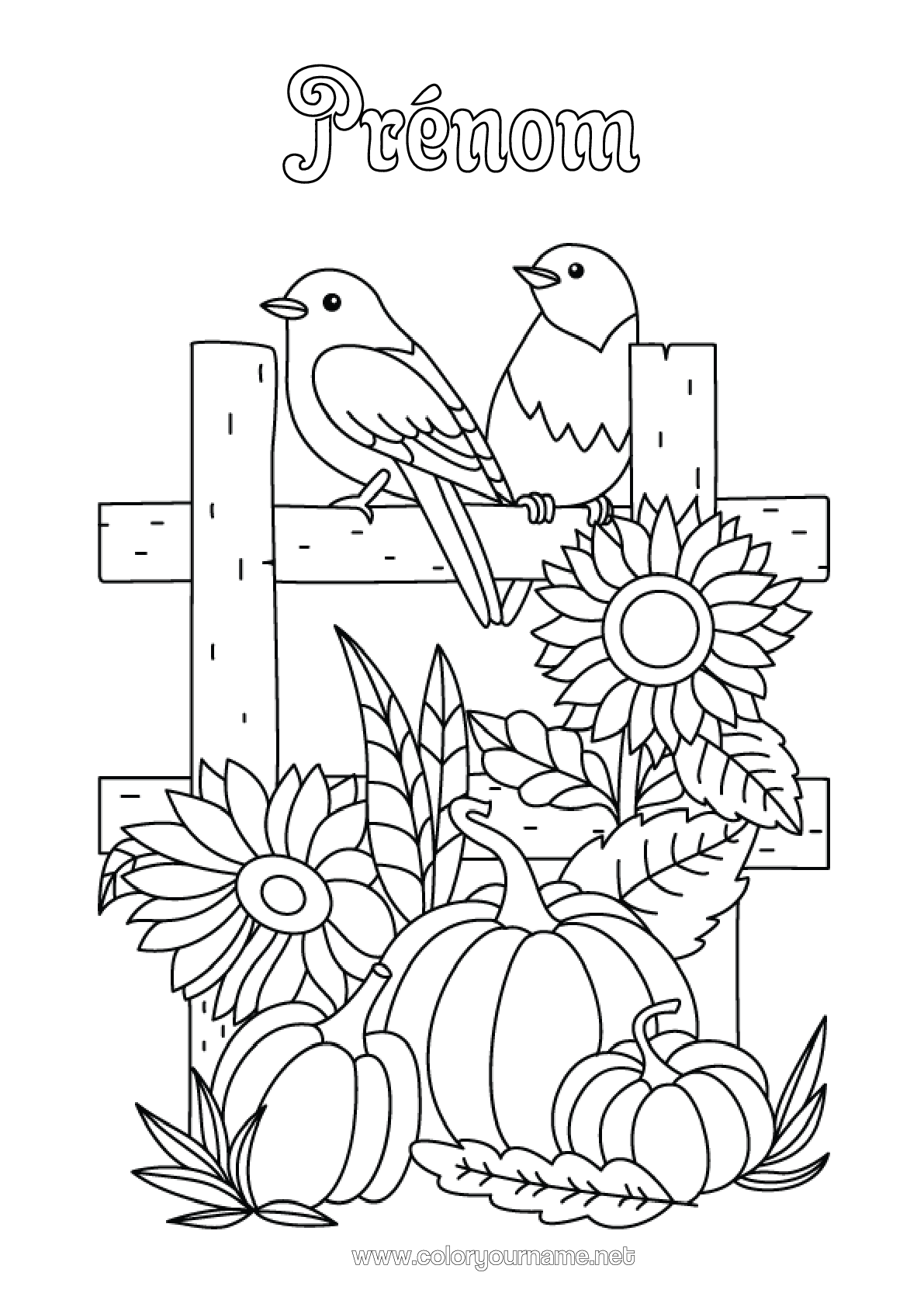 coloriage-n-3035-citrouille-oiseau-automne