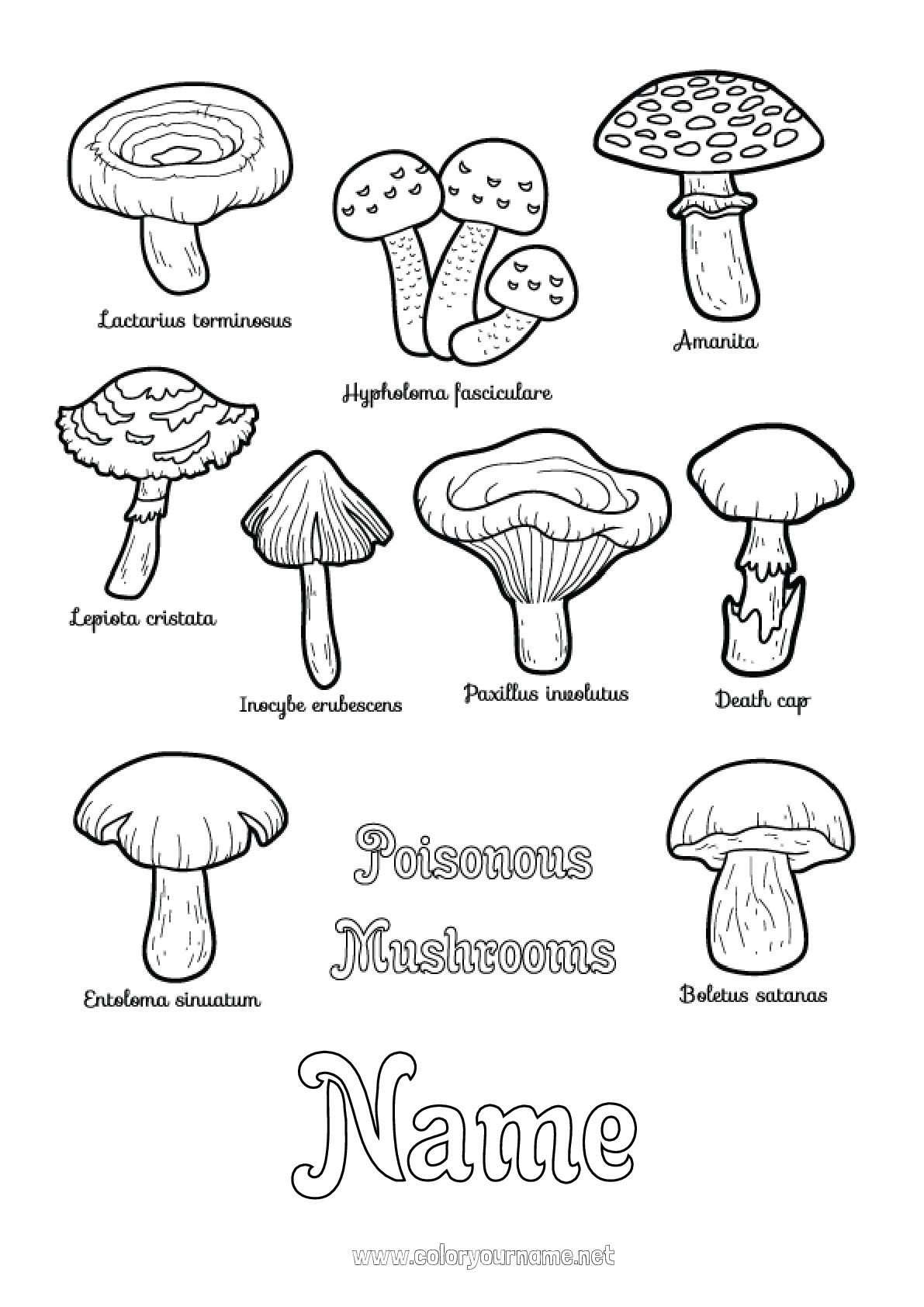 Coloring page No.3104 - Children's activities Mushroom