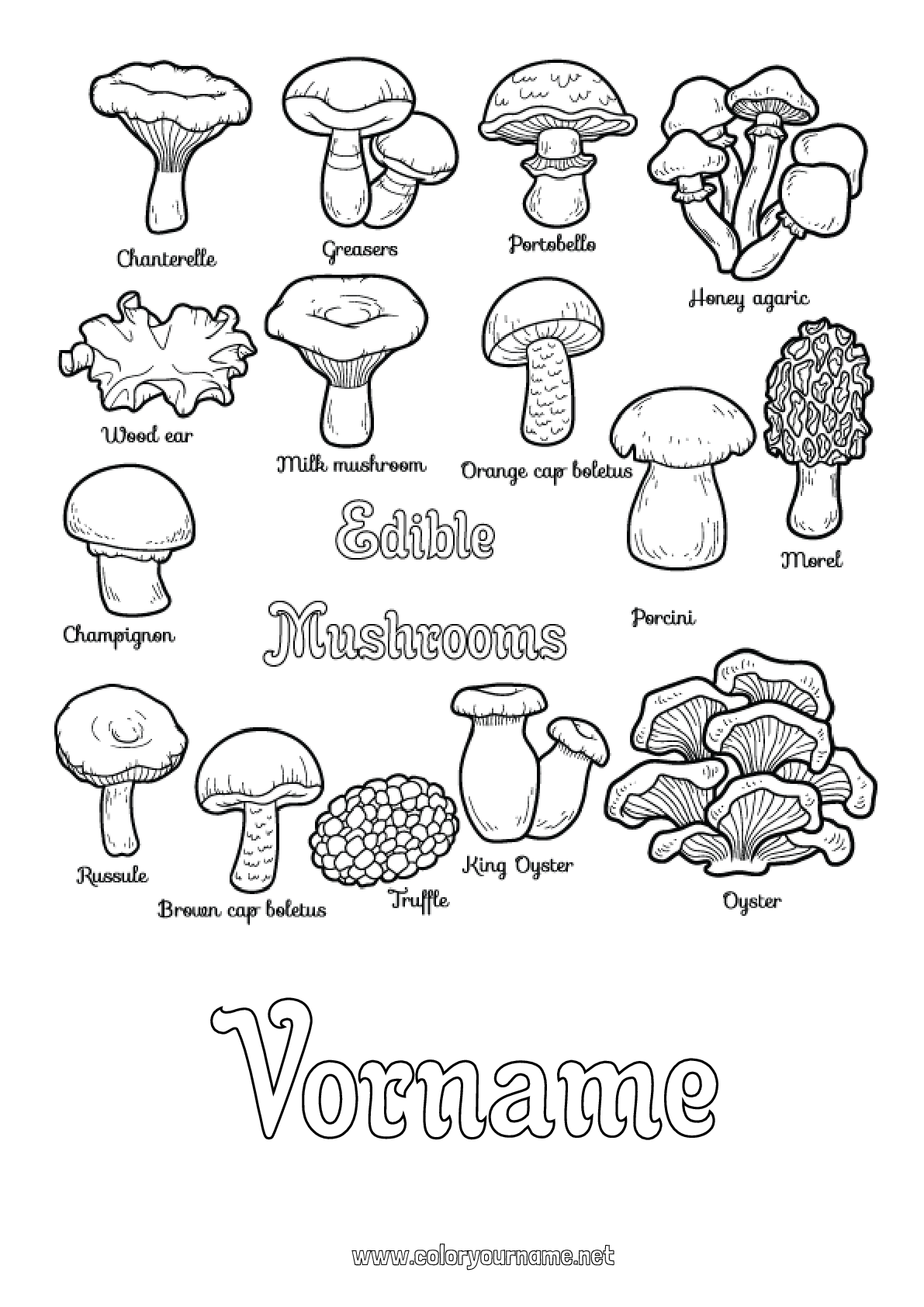  Malvorlage Nr.3105 - Kinderaktivitäten Pilz 