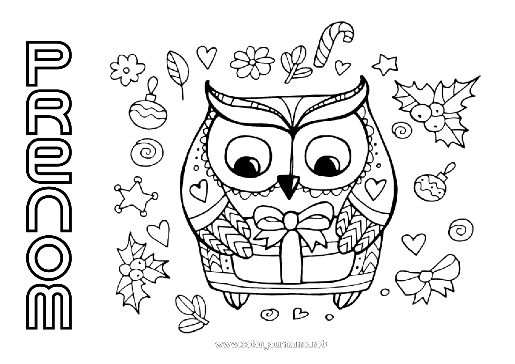 Coloriage N 357 No l Chouette Hibou coloriage-n-357-no-l-chouette-hibou