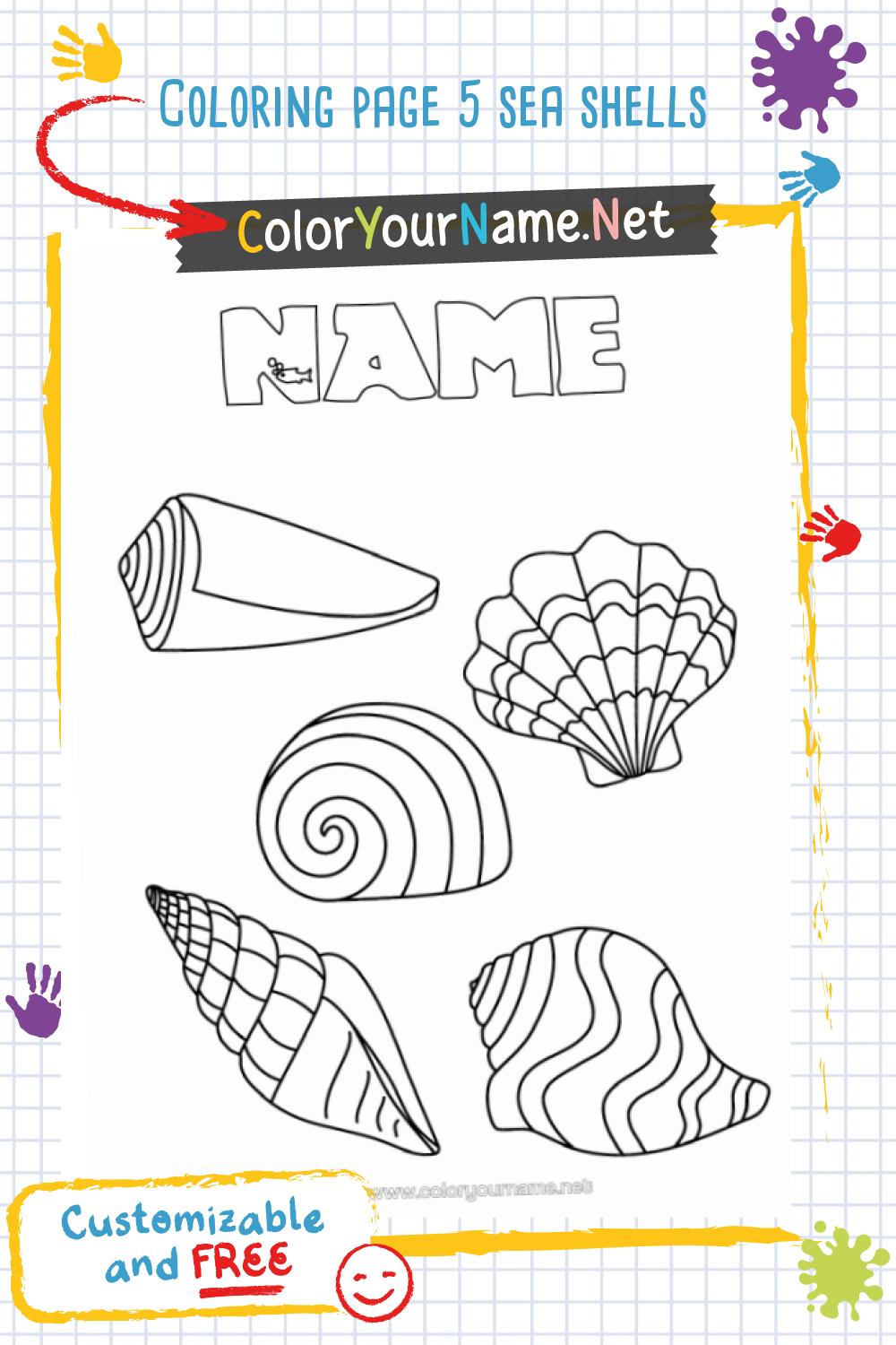 Coloring page 5 sea shells