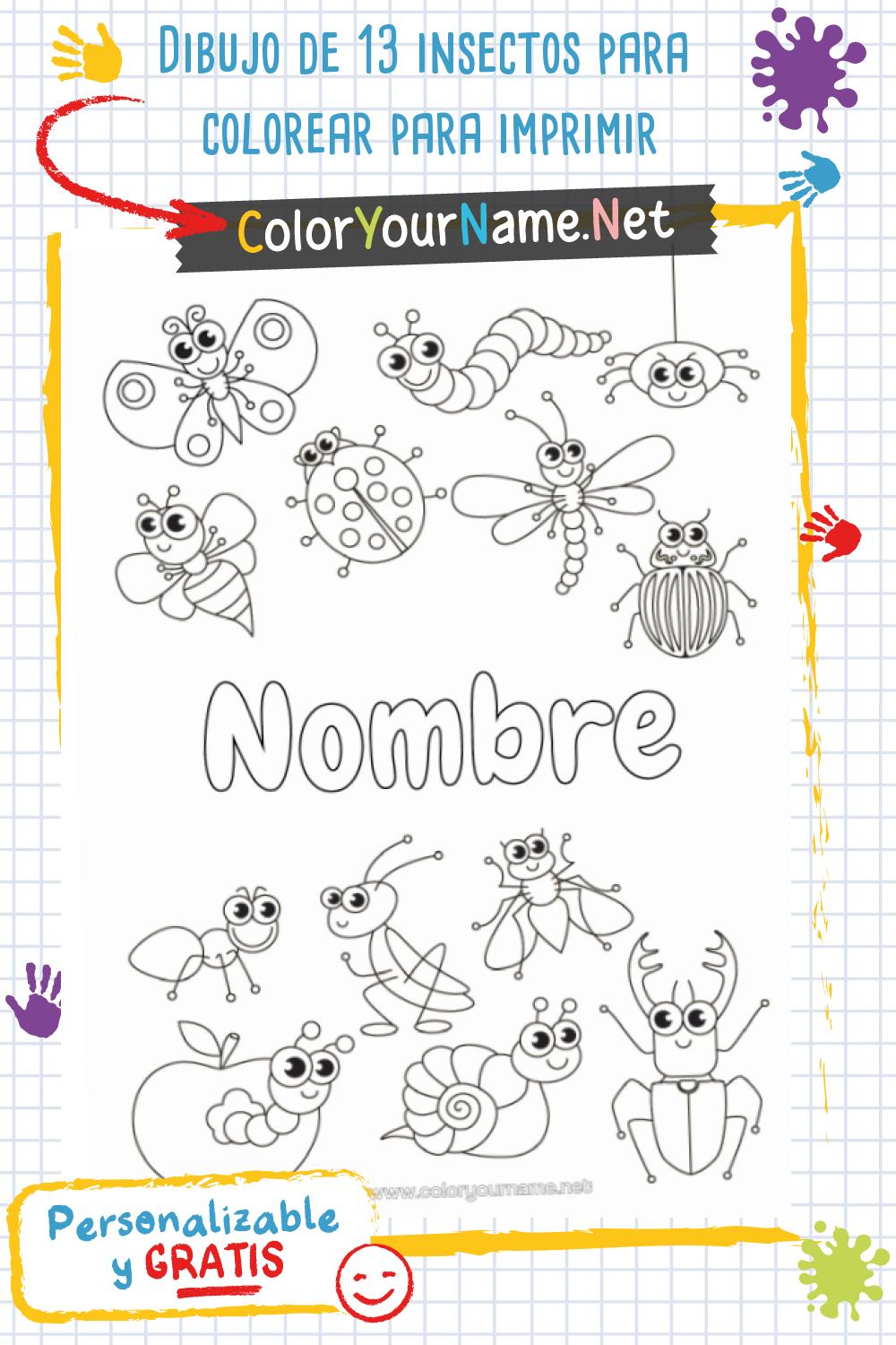 Dibujo de 13 insectos para colorear para imprimir