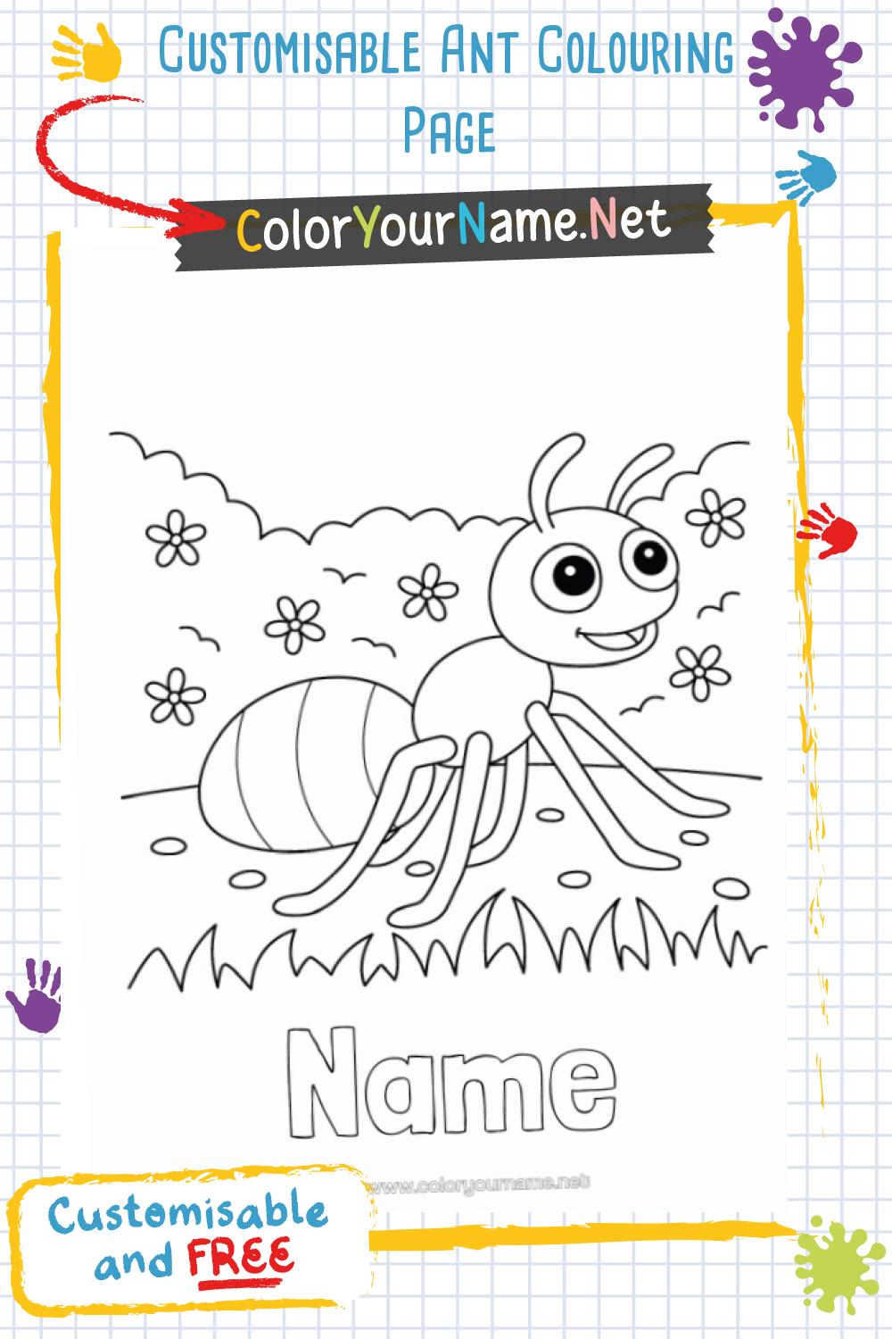 Customisable Ant Colouring Page