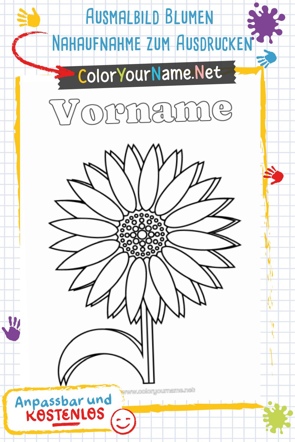 Ausmalbild Blumen Nahaufnahme zum Ausdrucken