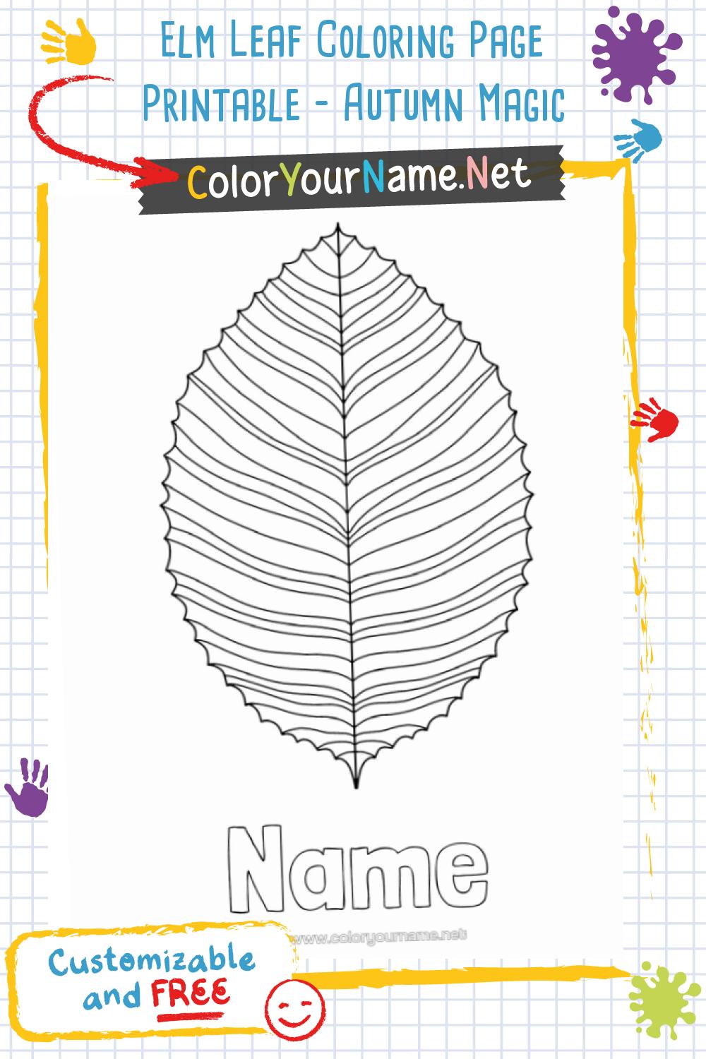 Elm Leaf Coloring Page Printable - Autumn Magic