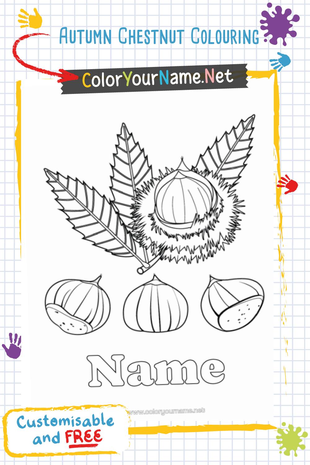 Autumn Chestnut Colouring