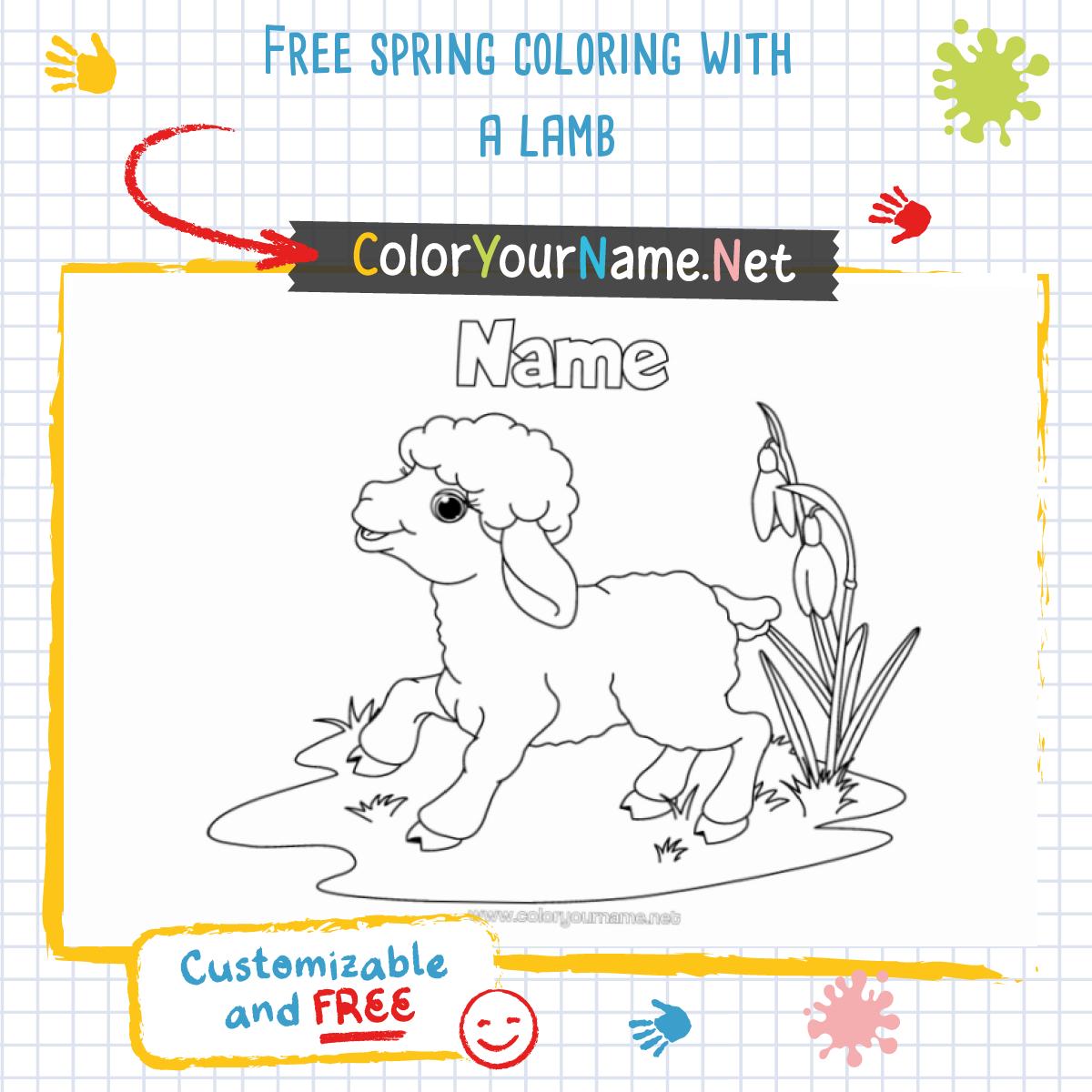 Free spring coloring with a lamb