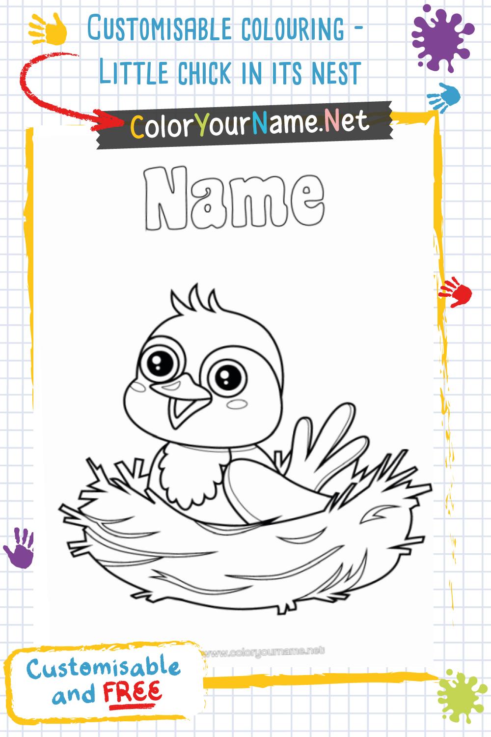Customisable colouring – Little chick in its nest